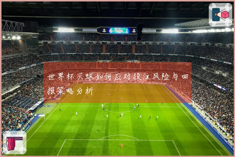 世界杯买球如何应对投注风险与回报策略分析