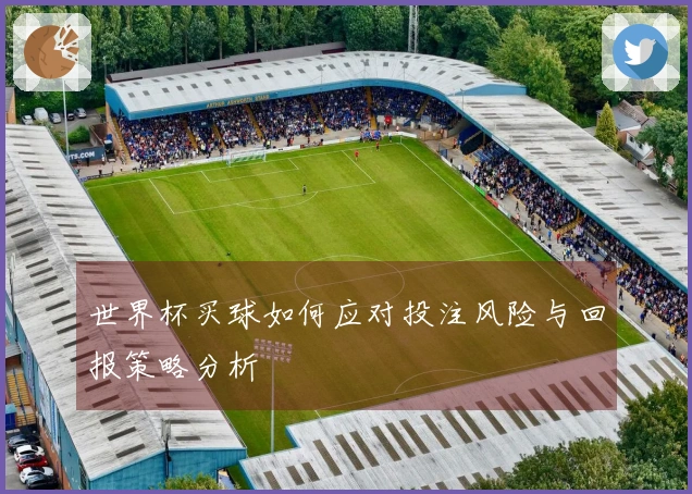 世界杯买球如何应对投注风险与回报策略分析