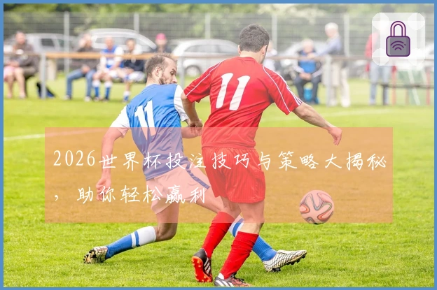 2026世界杯投注技巧与策略大揭秘，助你轻松赢利
